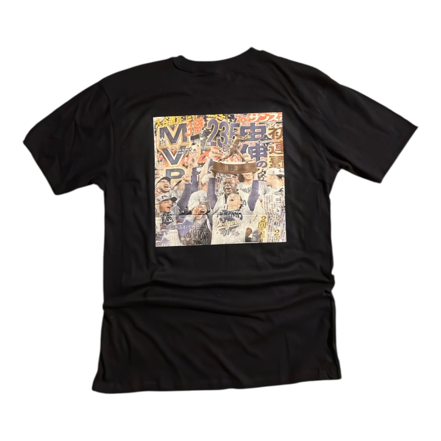 Japanese Newspaper MVP WS Champs