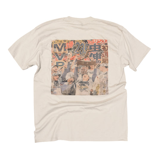 Japanese Newspaper MVP WS Champs